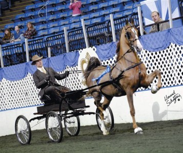 kc tchaikovsky lg